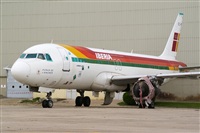 H.volar. Click to see full size photo