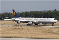 Miguel Alia - Noisy Spotters. Click to see full size photo