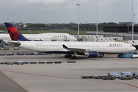Alfonso Sols - Asociacin Canary Islands Spotting. Click to see full size photo
