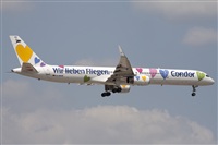 Miguel Alia - Noisy Spotters. Click to see full size photo
