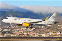 Miguel A. gueda Rguez.  (CANARY ISLANDS SPOTTING). Click to see full size photo