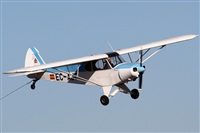 Rubn Gil - Noisy Spotters. Click to see full size photo
