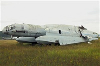 Ricardo Sanabria - AIRE.org. Click to see full size photo