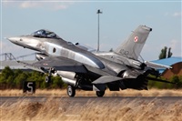 Florencio Martn Melin - Lanzarote Spotters. Click to see full size photo