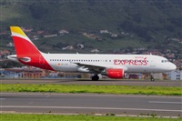 Miguel A. gueda Rguez.  (CANARY ISLANDS SPOTTING). Click to see full size photo