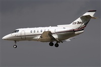 Adrin Alonso Lemes - Lanzarote Spotters. Click to see full size photo