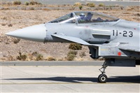 Florencio Martn Melin - Lanzarote Spotters. Click to see full size photo