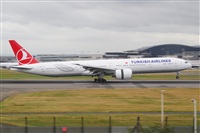 Miguel A. gueda Rguez.  (CANARY ISLANDS SPOTTING). Click to see full size photo