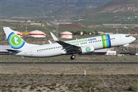 Alfonso Sols - Asociacin Canary Islands Spotting. Click to see full size photo