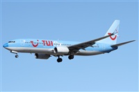 Alfonso Sols - Asociacin Canary Islands Spotting. Click to see full size photo