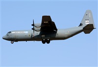 ©Alejandro H.L - Gran Canaria Spotters. Click to see full size photo ©Alejandro H.L - Gran Canaria Spotters. Click to see full size photo