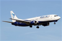 Alfonso Sols - Asociacin Canary Islands Spotting. Haz click para ampliar
