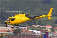 calco7. Click to see full size photo