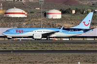 ©Alfonso Solís - Asociación Canary Islands Spotting. Click to see full size photo ©Alfonso Solís - Asociación Canary Islands Spotting. Click to see full size photo