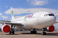 Miguel A. gueda Rguez.  (CANARY ISLANDS SPOTTING). Click to see full size photo