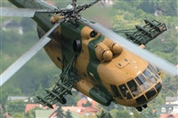 Tams. Click to see full size photo