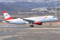 Miguel A. gueda Rguez.  (CANARY ISLANDS SPOTTING). Click to see full size photo