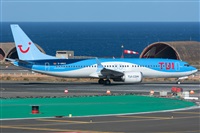 ©Adolfo Bento - Gran Canaria Spotters. Click to see full size photo ©Adolfo Bento - Gran Canaria Spotters. Click to see full size photo