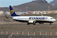 Alfonso Sols - Asociacin Canary Islands Spotting. Click to see full size photo