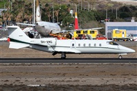 Alfonso Sols - Asociacin Canary Islands Spotting. Click to see full size photo