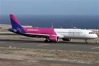 ©Alfonso Solís - Asociación Canary Islands Spotting. Click to see full size photo ©Alfonso Solís - Asociación Canary Islands Spotting. Click to see full size photo