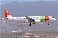 Miguel A. gueda Rguez.  (CANARY ISLANDS SPOTTING). Click to see full size photo