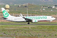 Miguel A. gueda Rguez.  (CANARY ISLANDS SPOTTING). Click to see full size photo