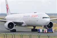 Miguel A. gueda Rguez.  (CANARY ISLANDS SPOTTING). Click to see full size photo