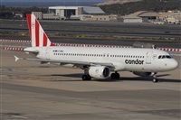 ©Adolfo Bento - Gran Canaria Spotters. Click to see full size photo ©Adolfo Bento - Gran Canaria Spotters. Click to see full size photo
