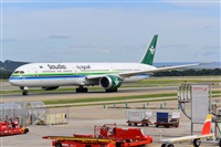 Miguel A. gueda Rguez.  (CANARY ISLANDS SPOTTING). Click to see full size photo