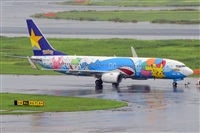 Miguel A. gueda Rguez.  (CANARY ISLANDS SPOTTING). Click to see full size photo