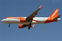 Alfonso Sols - Asociacin Canary Islands Spotting. Click to see full size photo