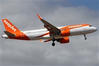 Alfonso Sols - Asociacin Canary Islands Spotting. Click to see full size photo