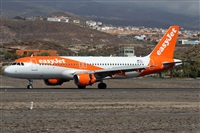 ©Alfonso Solís - Asociación Canary Islands Spotting. Click to see full size photo ©Alfonso Solís - Asociación Canary Islands Spotting. Click to see full size photo