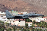 �Adri�n Alonso Lemes - Lanzarote Spotters. Click to see full size photo