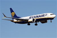 �Alfonso Sol�s - Asociaci�n Canary Islands Spotting. Click to see full size photo