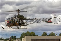 ©Manuel Acosta Zapata LMDT Spotters. Click to see full size photo ©Manuel Acosta Zapata LMDT Spotters. Click to see full size photo