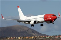 �Alfonso Sol�s - Asociaci�n Canary Islands Spotting. Click to see full size photo