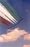 ©VICENTE ALONSO. Click to see full size photo ©VICENTE ALONSO. Click to see full size photo