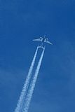 Jos Miguel Bernases - Noisy Spotters. Click to see full size photo