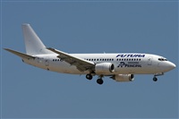 Jos Miguel Bernases - Noisy Spotters. Click to see full size photo