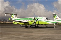 Javier de la Cruz - CANARY ISLANDS SPOTTING. Click to see full size photo