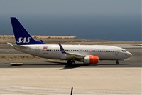 ©Javier de la Cruz - CANARY ISLANDS SPOTTING. Click to see full size photo ©Javier de la Cruz - CANARY ISLANDS SPOTTING. Click to see full size photo