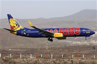 Alfonso Sols - Asociacin Canary Islands Spotting. Click to see full size photo