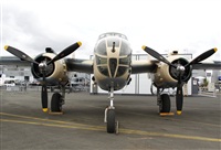 Jos Miguel Bernases - Noisy Spotters. Click to see full size photo