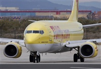Jos Miguel Bernases - Noisy Spotters. Click to see full size photo