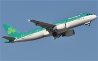 Rubn Gil - Noisy Spotters. Click to see full size photo