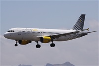 Alfonso Sols - Asociacin Canary Islands Spotting. Click to see full size photo