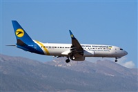Javier de la Cruz - CANARY ISLANDS SPOTTING. Click to see full size photo