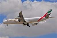 Miguel A. gueda Rguez.  (CANARY ISLANDS SPOTTING). Click to see full size photo
